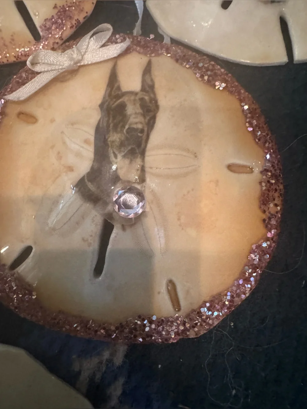 Handmade real Sand Dollar ornaments Hanging Set - Cream and Brown